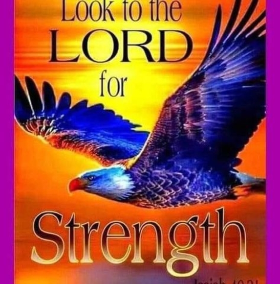 Meet your Posher, Laura - Picture 1 of 1